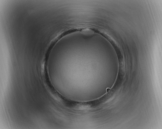 X0000115560491200911131630