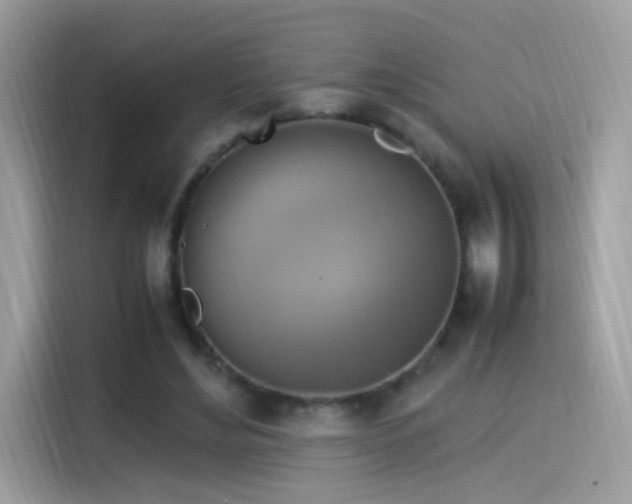 X0000115560492200911131630