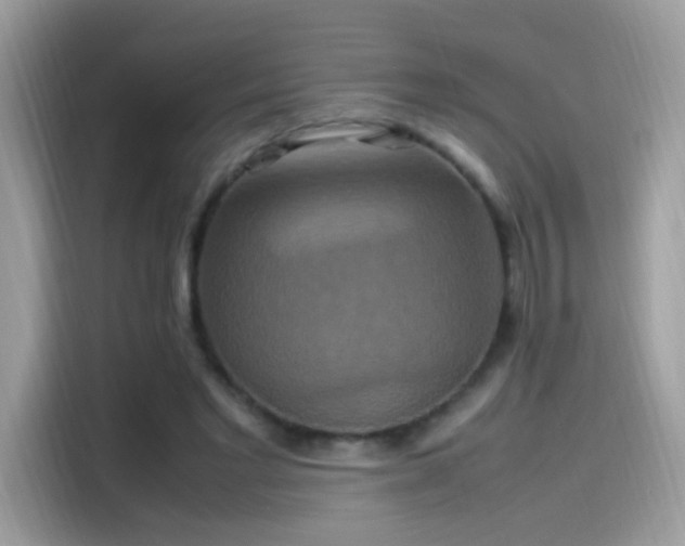 X0000115560493200911131630