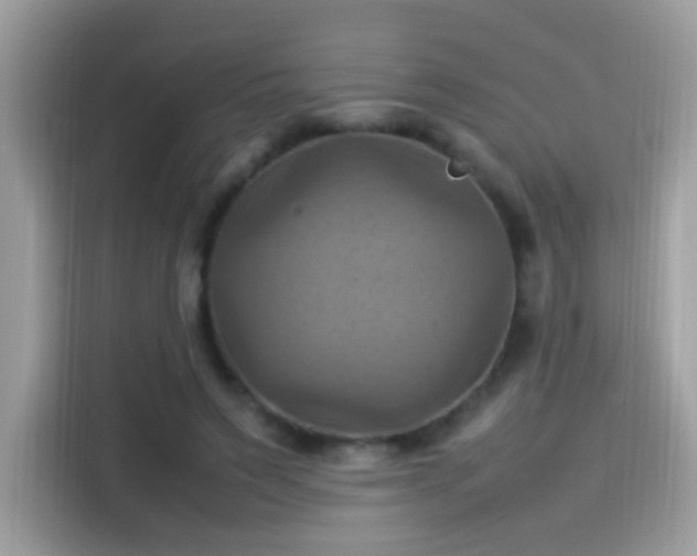 X0000115560495200911131630