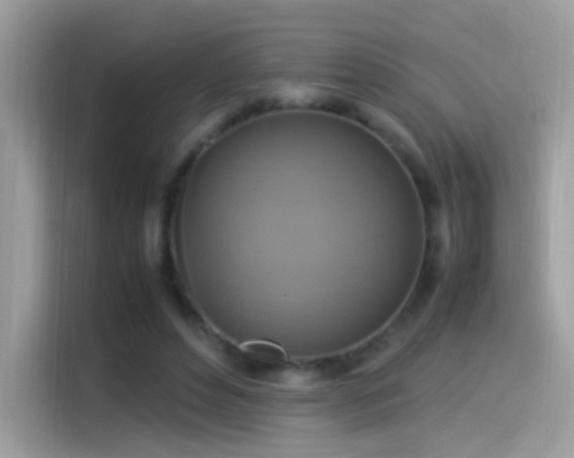 X0000115560496200911131630