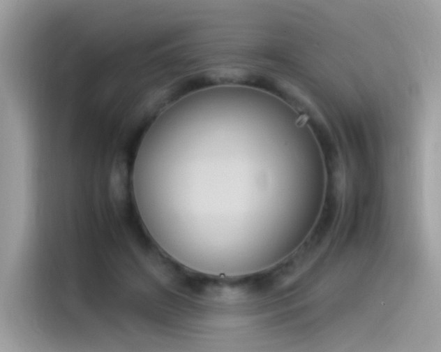 X0000115560498200911131630