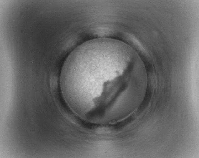 X0000115560499200911131630