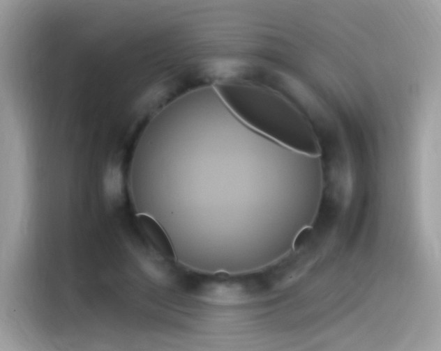 X0000115560500200911131630