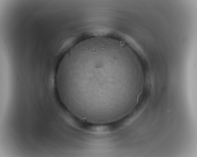 X0000115560501200911131630