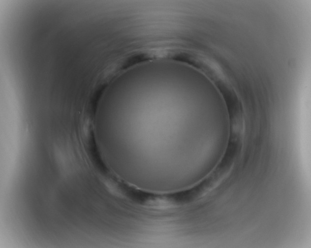 X0000115560503200911131630