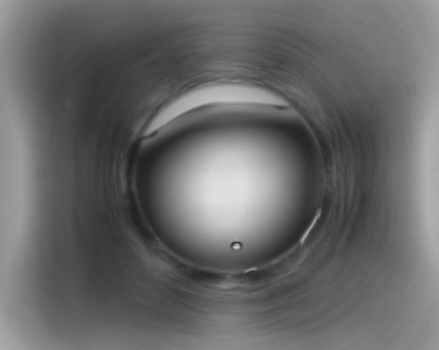 X0000115560504200911131630