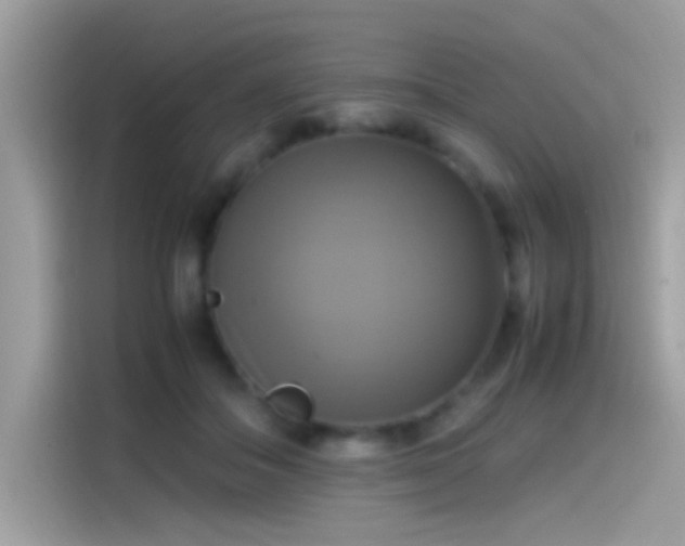 X0000115560506200911131630