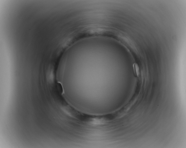 X0000115560508200911131630