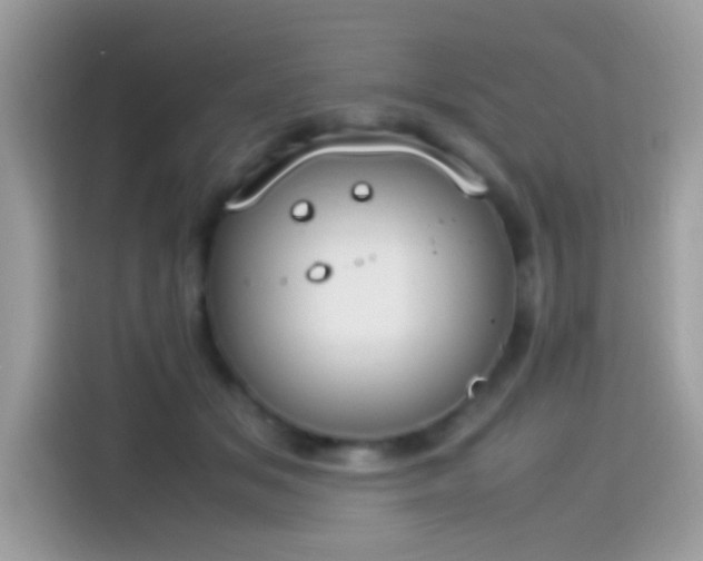 X0000115560509200911131630