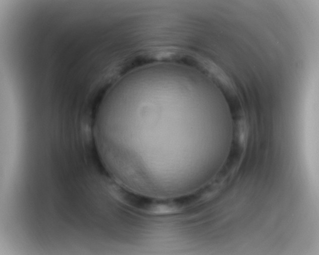 X0000115560510200911131629