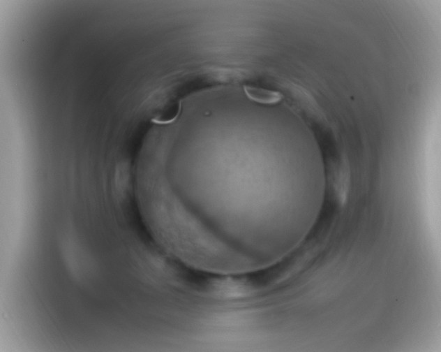 X0000115560511200911131629