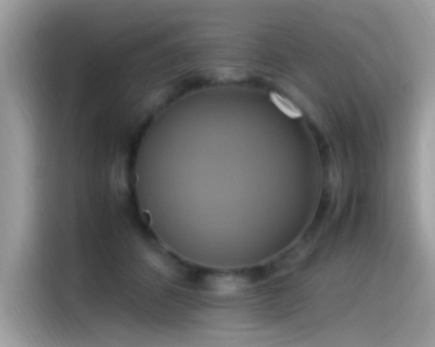 X0000115560512200911131629