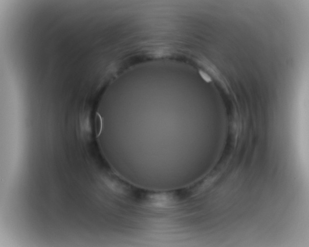 X0000115560516200911131629