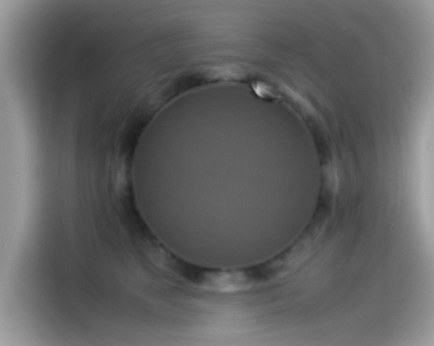 X0000115560517200911131629
