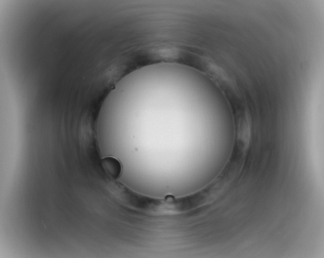 X0000115560518200911131629
