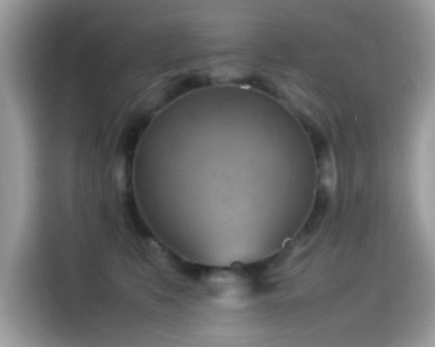 X0000115560519200911131629
