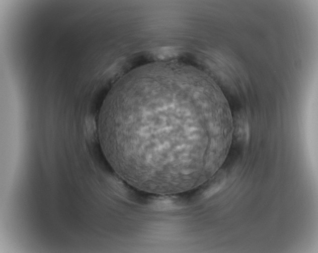 X0000115560523200911131629