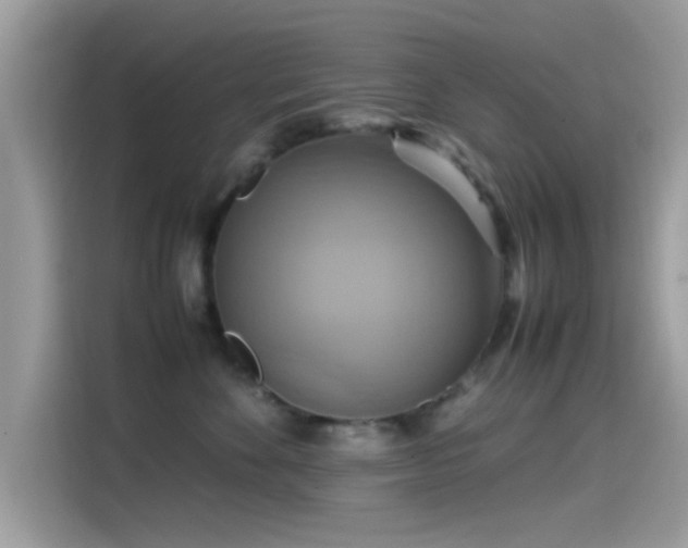 X0000115560524200911131629