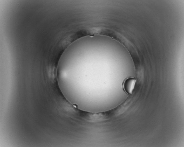 X0000115560525200911131629