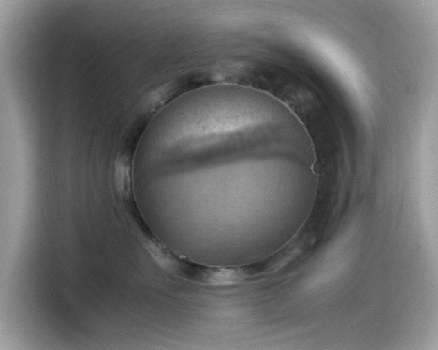 X0000115560527200911131629