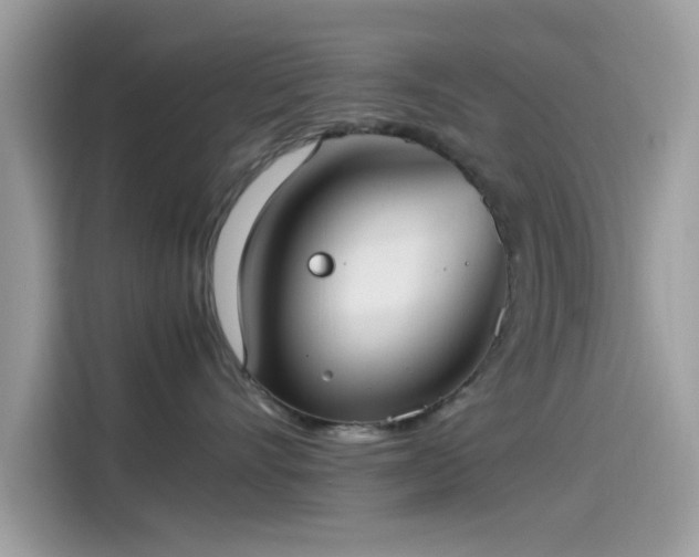 X0000115560528200911131629