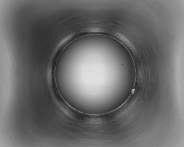X0000115560535200911131629