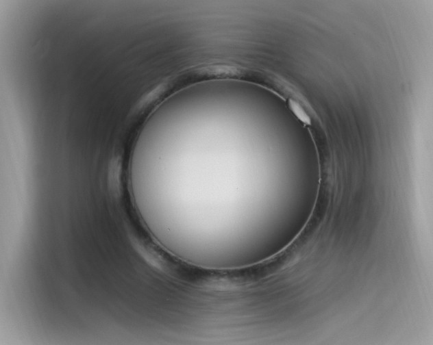 X0000115560538200911131629