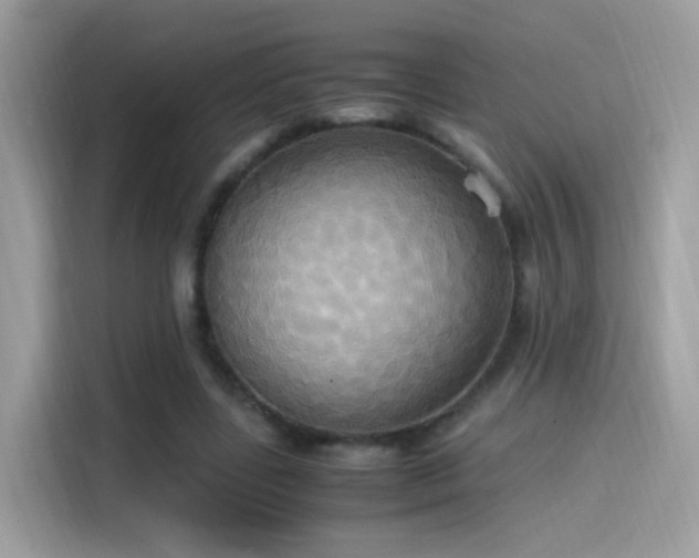 X0000115560539200911131629