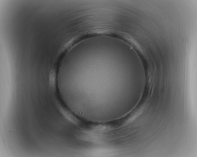 X0000115560542200911131629