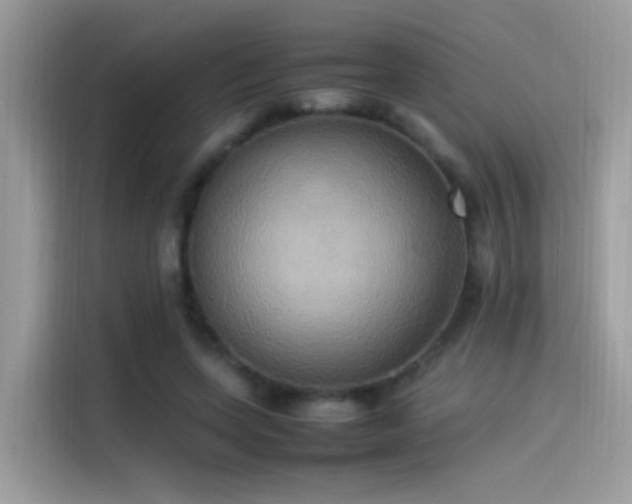 X0000115560543200911131629