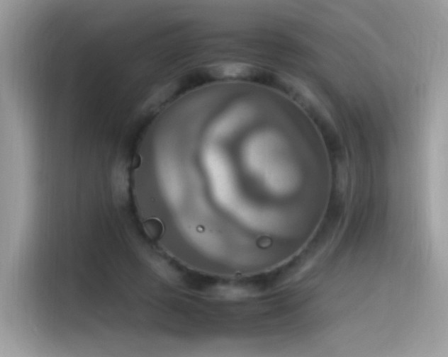 X0000115560545200911131629