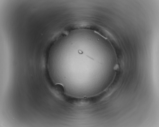 X0000115560546200911131629