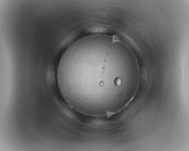 X0000115560547200911131629