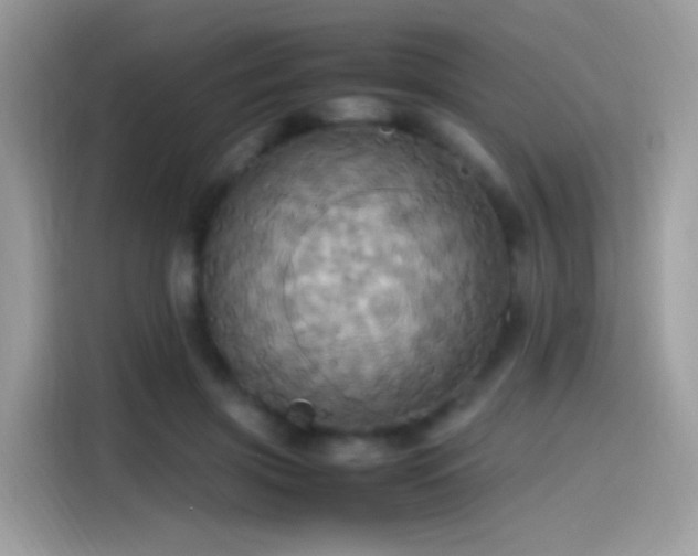 X0000115560549200911131629