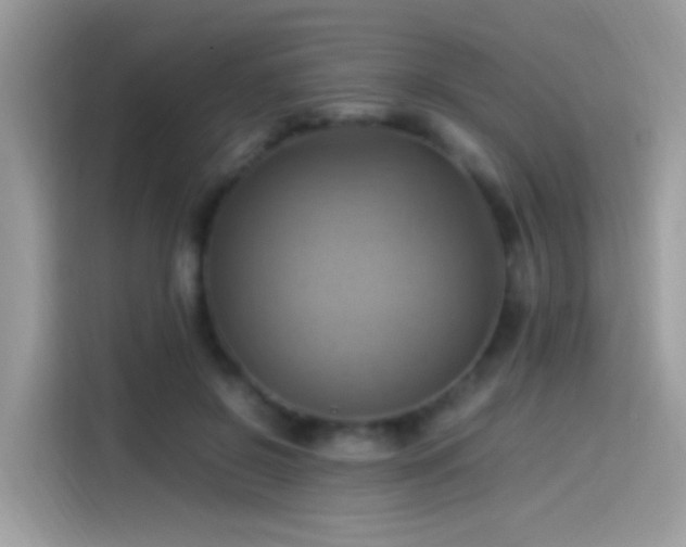 X0000115560550200911131629