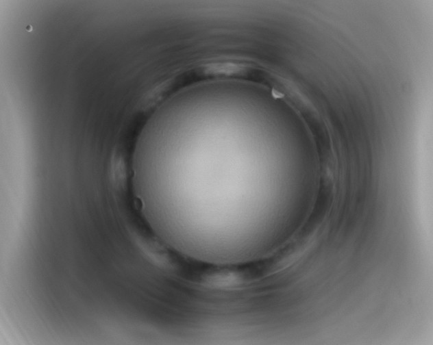 X0000115560551200911131629