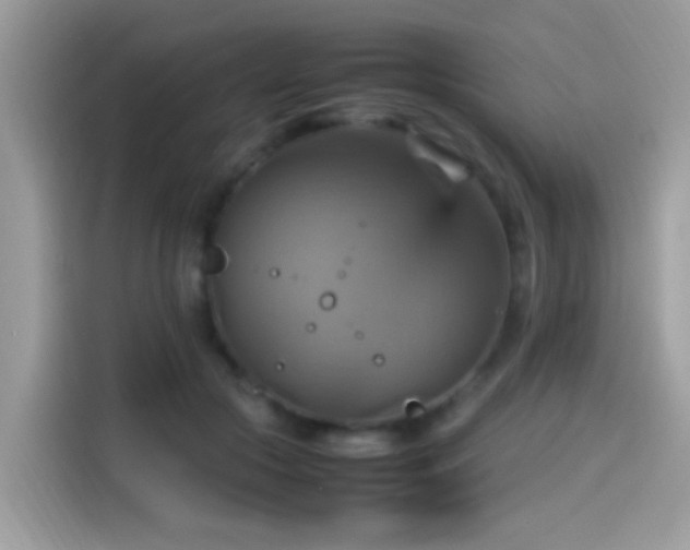 X0000115560553200911131629