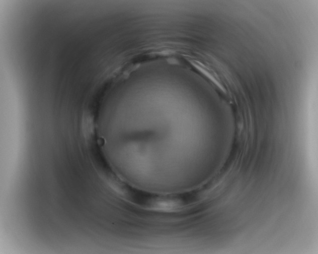 X0000115560555200911131629
