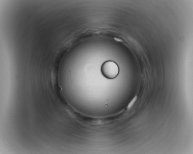 X0000115560558200911131629