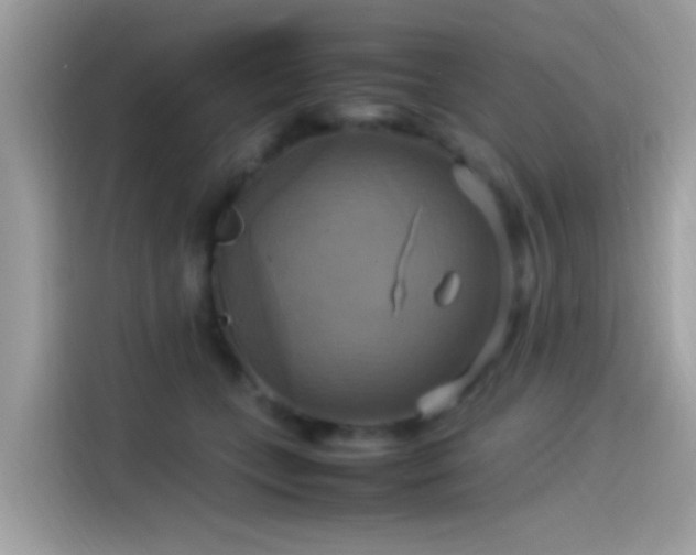 X0000115560559200911131629