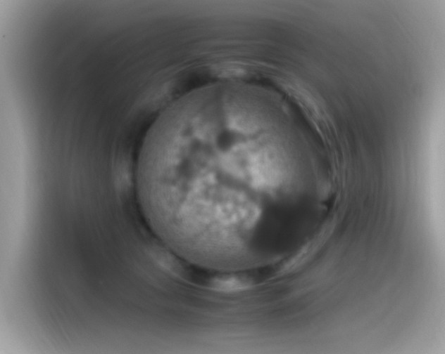 X0000115560561200911131629