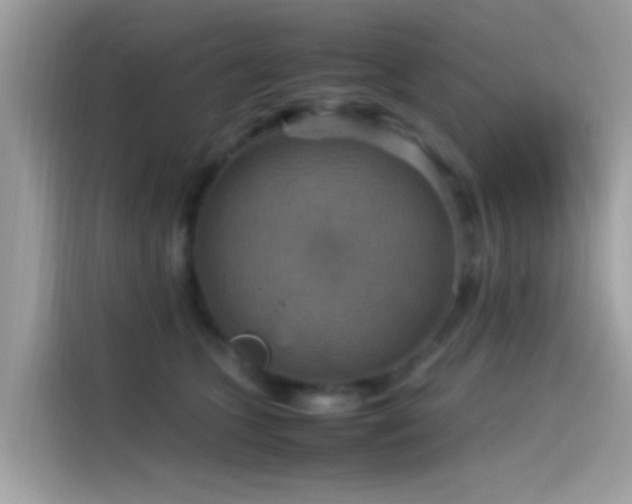 X0000115560563200911131629