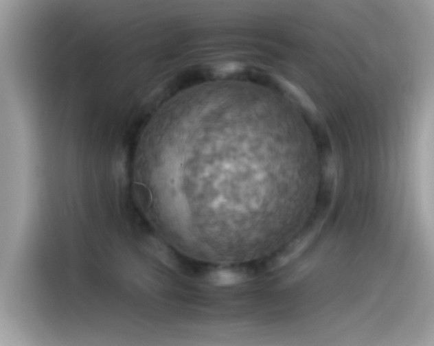 X0000115560565200911131629