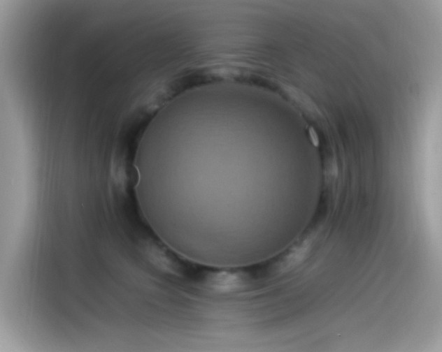 X0000115560566200911131629