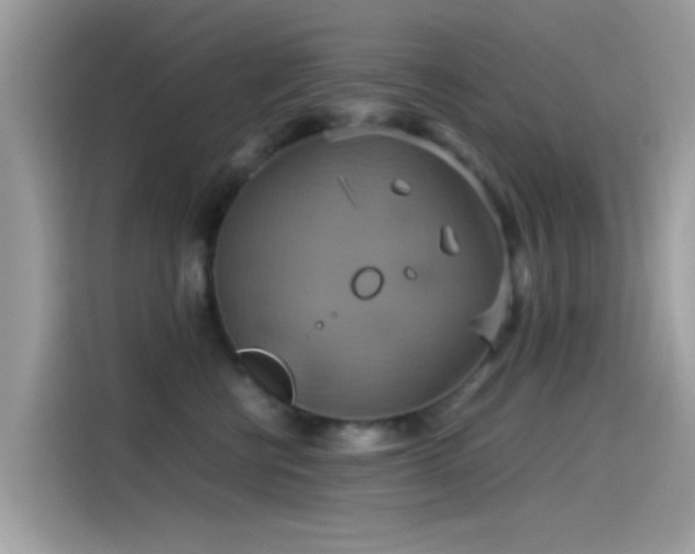 X0000115560570200911131629