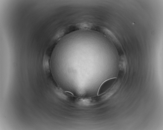 X0000115560573200911131629