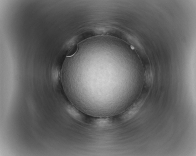 X0000115560574200911131629