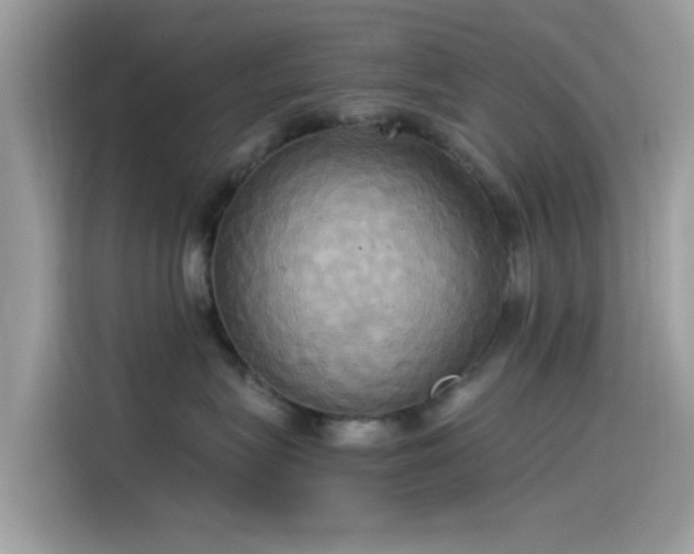 X0000115560575200911131629