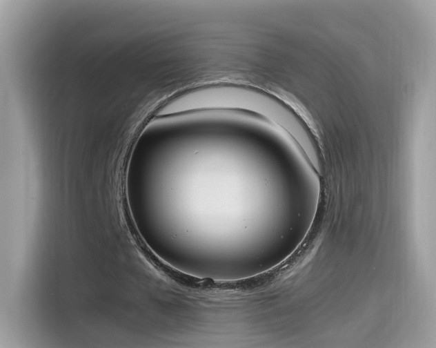 X0000115560577200911131629